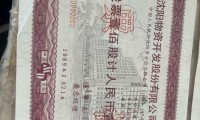 东北证券股(东北证券股价涨531%)