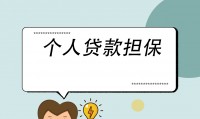 担保证券(担保证券上市公司股东大会议案)