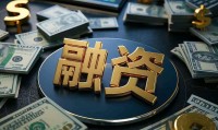 证券公司融券(证券公司融券办法条例指引)