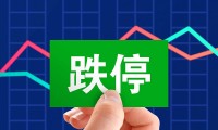 国金证券停牌(国金证券 跌停)