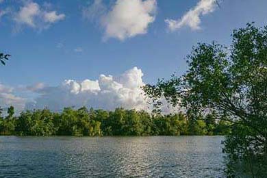 Bitmine上周新增购入44463枚以太坊 持仓突破411万枚以太坊