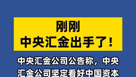 汇金证券(汇金证券股票) 汇金证券(汇金证券股票)